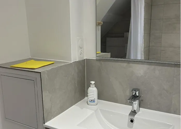 アパート Aux Cigogneaux Guémar